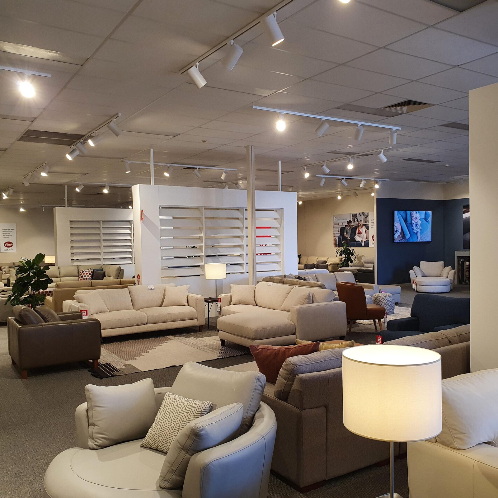 Standard_Showroom_Imagery_1