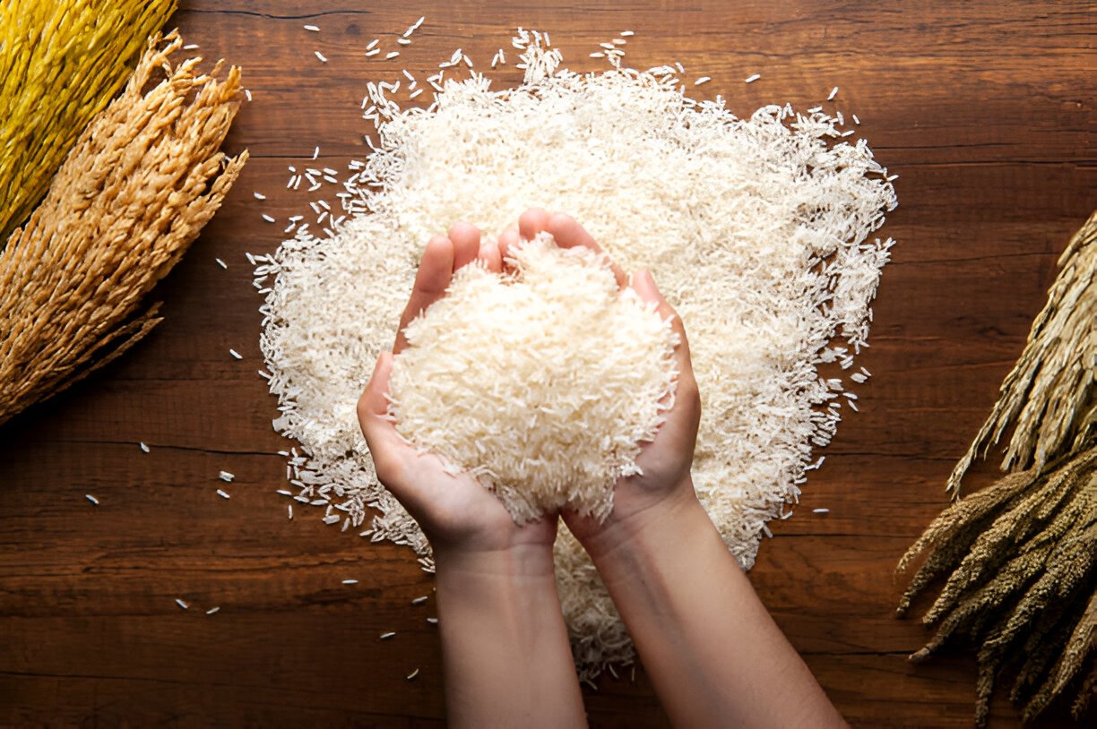 steptodown.com487201